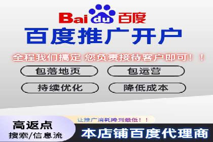 某企业通过百度SEM实现ROI最大化的案例
